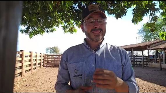 Assuma as rédeas do seu negócio: como a Precisão Agro pode transformar a realidade da sua fazenda.
