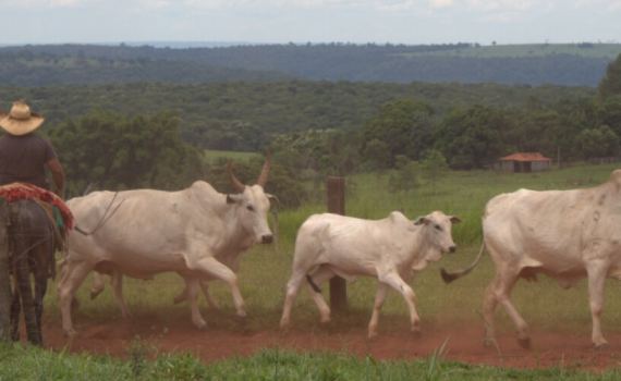 Gestão de pessoas no agronegócio: estratégias para motivar, reter talentos e aumentar resultados no campo