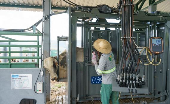 Importância das estruturas de contenção: base para um manejo seguro e produtivo