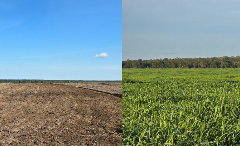 Correção do solo na pecuária 