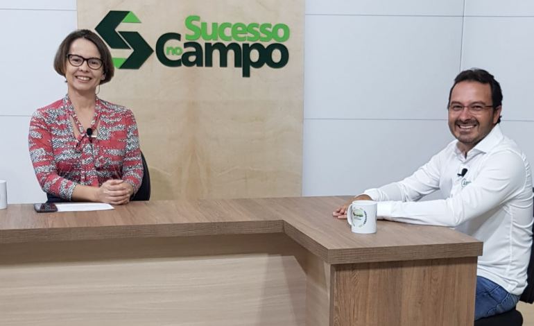 Gestão na pecuária