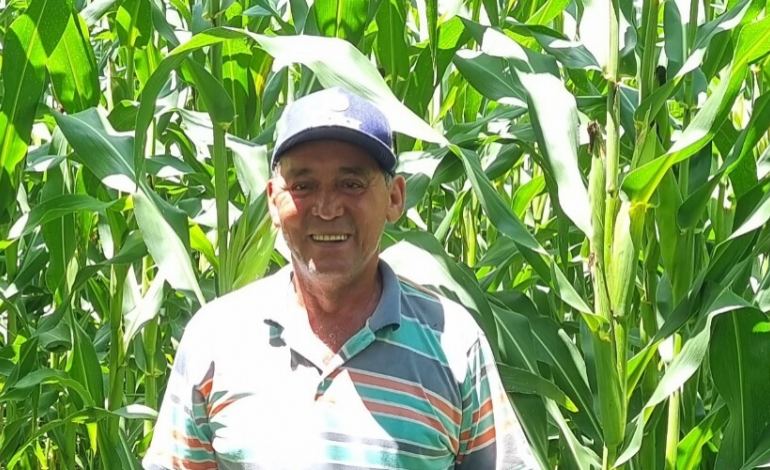 Maximizando a Lucratividade na Pecuária de Corte: Estratégias Essenciais para a Entressafra no Brasil Central