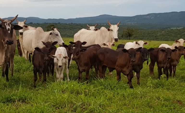 O que importa é o resultado.